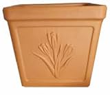 Pflanzkübel Terracotta quadratisch mit geprägter Blume Made in Italy - Terracotta Blumentopf Seite 30x30 cm Höhe 26 cm