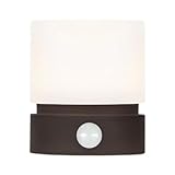Dualoai Stehtischlampe mit Timer, Nachtlicht, Schreibtischlampe, Schreibtischlampe für Schlafzimmer, Braun