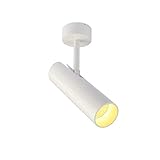 KOIAMVZW LED-Aluminium-Deckenstrahler für den Innenbereich, COB, blendfreie Akzentlampe, 360-Grad-Drehung, Wandspotbeleuchtung für Galerie, Flur, Schrank, Küche – Weiß (Farbe: Warmweiß)