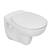 LAVITA Wand-WC Arctic | Hänge Toilette | Toilettendeckel mit Absenkautomatik & Metallscharniere | Toiletten Spülrandlos Hängend | wc sitz, Toilettenbecken | 350x535x535 mm | Weißer Glanz