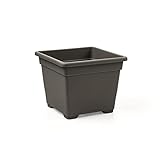 Topfino Quadratischer Blumentopf 18 cm Terracotta