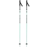 Rossignol Stove Box Skistöcke 2024 Blue 115