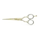 Kiepe Gold Serie 2451 Professionelle Haarschneideschere 16cm / 6 Zoll - Premium Gold Finish, Konvexe Klinge, Ergonomisches Design, Made in Italy