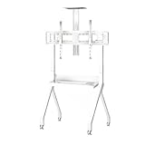 CXJGCRDM Hochbelastbarer Tragbarer TV-Ständer, Mobiler TV-Wagen mit Bremsrädern, Monitor-TV-Ständer Schrank für Business, Büro, Schule(White,55-100inch)
