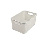 BranQ - Home essential universeller, multifunktionaler Korb in Rattan Design, Grösse S 7l, BPA-frei Kunststoff PP, Creme, 28,5x19,5x12,9 cm