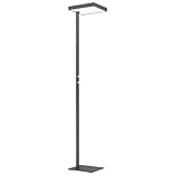 Stehlampe LED Deckenfluter Leselampe Metall schwarz matt Drehdimmer H 184 cm