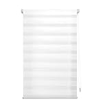 Ansixeay Tür- und Fensterrollos（140cm x 250 cm）, geeignet zur Transluzenz und Verdunkelung von Türen und Fenstern SeitenzugrollosSichtschutz Sonnenschutzrollos