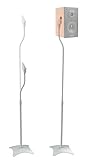 RICOO Lautsprecherständer Lautsprecher Ständer Universal BH08-G Höhenverstellbar Boxenständer Standfuss Stativ Boxen Speaker Stand Kabelführung, 1 Paar - Set 2 Stück