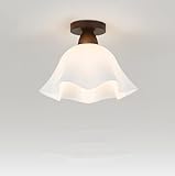 SSNCcNC Nordic Acryl Flurlampe Vintage Eingang Deckenleuchte Kreatives Design E27 Deckenlampe für Korridor Balkon Foyer Treppe Küche Veranda 18 * 22cm