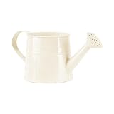 Verzinkter Eisen-Duscheimer, Weißblech-Gießkessel, kleiner Blumentopf, Pflanzen-Blumentopf Bewässerungskugeln (F, One Size)