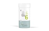 PFLÜGER Schüßler Salze Nr. 6 Kalium sulfuricum D6 - 400 Tabletten - Das Salz der Entschlackung - glutenfrei