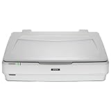 Epson Expression 13000XL - Flachbettscanner - A3