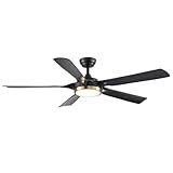 Newday Deckenventilatoren Leise Schwarz, 142cm Deckenventilator mit Beleuchtung Dimmbar, Groß Deckenventilator mit Fernbedienung, Motor DC Reversibel, Speicherfunktion, Für Schlafzimmer Wohnzimme