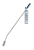 Bio-Gärtner CW 3000 Abflammgerät inkl. Gasdose 600 ml - Unkrautverbrenner Gas Anwendung, 2,87 kW bei mehr als 1.100 °C Flammentemperatur, Auch als Grillanzünder geeignet