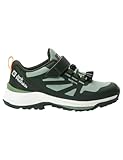 Jack Wolfskin Unisex Kinder Villi Hiker Texapore Low Walking-Schuh, Mint Leaf, 37 EU