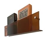 Zeitschriftenständer aus Acryl, zur Wandmontage, modern, Orange, Transparent, Blau, Braun, Zeitungshalter, Buchaufbewahrung, Regal, leicht, Prospektständer, 40/80/100 cm