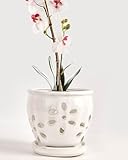 vensovo 12,7 cm Keramik-Orchideentöpfe mit Löchern und Untersetzern – 1 Stück kleine Keramik-Orchideen-Pflanztöpfe zum Umtopfen, Pflanzen-Blumentöpfe für Orchideen drinnen und draußen, fördert die
