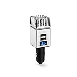 Technaxx Auto Luftreiniger mit Ionisator & 2×USB Ladeanschlüssen – Entfernt Gerüche, Rauch, Staub & Pollen – 5,6 Mio. negative Ionen – Für 12V/24V Fahrzeuge – Silber - TX-130