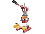 BEPER MD.404 Professionelle Granatapfelpresse und Zitruspresse mit Hebel, Druckguss für maximale Festigkeit und Qualität, Vorwurzelkegel aus Stahl, ergonomischer gummierter Griff, Grau