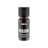 Stadler Form Duftöl Rebloom, 100% naturreine ätherische Ölmischung, duftet nach Lavendel und Orange, wirkt stimmungsaufhellend, für Aroma Diffuser, Luftbefeuchter und Luftwäscher, 10 ml