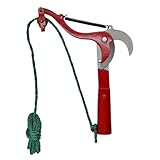 SEWOART 3 Stk Gartenschere astscheren hochastschere Gartenschneidewerkzeug Hochentaster Avocadobaum Obsterntemaschine ausziehbare Baumschere Rebschere Stahl mit hohem Kohlenstoffgehalt rot