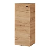 Planetmöbel Bad Midischrank in Gold Eiche 32cm, Hängeschrank für Badezimmer, Kleiner Badschrank für extra Stauraum mit 3 Fächern