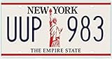 OPO 10 - USA-KFZ-KENNZEICHEN - 30x15 cm Metallnachbildung: New York (C36)