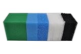 SANLILI Kompatibler Satz Filtermedien für Juwel Compact/Bioflow 3.0 M (1 x Blaue Schwämme (fein), 1 x Blaue Schwämme (grob), 2 x Grüne Schwämme, 2 x Aktivkohle-Schwämme, 5 x Weiße Filter-Schwämme)