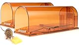 2 Pack Mausefalle lebend - Live Catch and Release Mice Catcher - Nein Kill kleine Schnappfalle - die für kleine Nagetier - drinnen im Freien