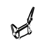 German Riding Lederhalfter Basic schwarz unterlegt verstellbar an Nase und Genick (XFull)