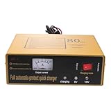 HEALEEP Batterieladegerät Vollautomatisch Geeignet Für Auto Und Motorradbatterien Mit Schutz Vor Überladung Und Überhitzung Säure-batterien Wartungsfreie Batterien Und Gel-batterien