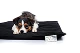 biomagnet24®, 80cm x 60cm Magnetfeldmatte, Magnetfelddecke, Magnetfeldtherapie für Tiere, zur Behandlung bei Arthrose, Spondylose, Hüftgelenksdysplasie, Ellenbogendysplasie beim Hund und Katze