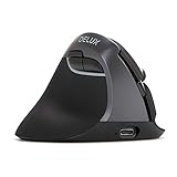 DeLUX Linkshänder Ergonomische Maus Kabellos, Wiederaufladbar Mini Vertikale Maus, Silent Click, 6 Tasten, 4000 DPI, RGB Licht, Multigerät, für Karpaltunnel, für Computer/Laptop/PC (M618ZD-Eisengrau)