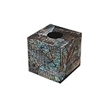 DTACBNEUZ Dekorative Taschentuchbox Bunte Muschel Dekorative Taschentuchbox Kreative Leichte Luxus Haushaltspapierbox Nieten Wohnzimmer Aufbewahrungspapierbox(Klein)