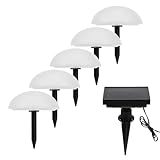 Zerodeko Solarleuchte Halbkugel Rasenlampe Wetterfest Warmweiß für Gartenpfad und Zaun Außenbeleuchtung