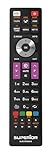 Superior Electronics Ersatzfernbedienung Telefunken - Universalfernbedienung kompatibel mit Telefunken TVs - sofort einsatzbereit ohne Programmierung - perfekt für Smart TVs - Schwarz - SUPTRB016