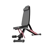 Klappbare Rückenstreckbank, Bauchmuskeltrainingsgerät, 6-fach verstellbare Rückenlehne, for Ganzkörper-Krafttraining