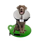MC-Royal®Premium Halskrause - aufblasbare Premium Halskrause für Hunde und Katzen [zuverlässiger Schutz] - Hundehalskrause - Leckschutz Hund - Hundekragen - Halskrause Katzen - Schutzkragen Hund