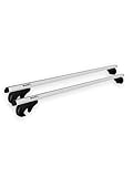 Owen 4.1 L | Universal Dachträger 135cm für Offene Reling | Aluminium Relingträger bis 90kg | T Nut Profil 14mm | Silber