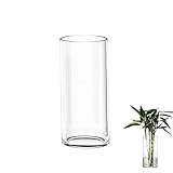 TSKDKIT Glas Blumenvase Modern Zylinder Vase, Handgemacht Kristall Vasen 20cm Hoch, Kerzenhalter Glas Blumenblume Pflanzenbehälter für Home Office Dekor, Glas Tischdeko, Geburtstagsgeschenk(20*10cm)