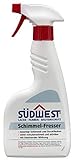 Südwest Schimmelfresser chlorhaltiges Spray zum Entfernen Abtöten & Bleichen von Schimmel, Pilzen, Stockflecken, Algen & Moos, für schimmelbefallene Untergründe Sprühflasche (500 ml)