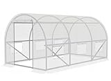 VBChome Gartentunnel 300 x 200 x 200 cm Weiß Folientunnel Stabiler Rahmen Rolltüren und Fenster Gartengewächshaus Anbau von Gemüse und Obst Befestigungsset