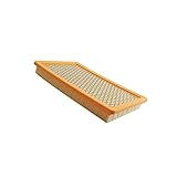 Arpisziv Luftfilter 0E9371A Ersatz passend für Generac 8kW-11kW luftgekühlte Generatoren 410CC 426CC 530CC Motoren 0E9371AS