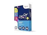 Color Copy Papier A4, 125 Blatt, 300 g / qm