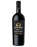 San Marzano Primitivo di Manduria 62 Anniversario Riserva DOP 2019 (1 x 0,75 l)