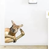 Wandaufkleber mit starkem Känguru, lustiger Tier-Fensteraufkleber, seltsames Geschenk für Freunde