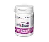 GIGI VET Harn & Blase Tabletten für Hunde und Katzen – Ergänzungsfuttermittel mit Cranberry, Bärentraubenblättern & Vitamin C zur Unterstützung der normalen Harnwegsfunktion - 90 Stück