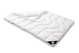 Irisette Micro Thermo 4-Jahreszeitendecke, Steppbett mit Bezug aus softer Microfaser für alle Jahreszeiten, 155 x 220 cm, Öko Tex zertifiziert, produziert nach deutschem Qualitätsstandard