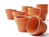 meindekoartikel 20 Tontöpfe Blumentopf Pflanztopf wiederverwendbar witterungsbeständig Verwendung im Innen- und Außenbereich/Farbe - Terracotta (Ø 6 cm)