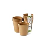 GREENBOX Umweltfreundliche Kaffeebecher Pappbecher braun ungebleicht I Espressobecher Probierbecher Trinkbecher I 50 Stück Coffee To go Einwegbecher biologisch abbaubar 100 ml 4 oz